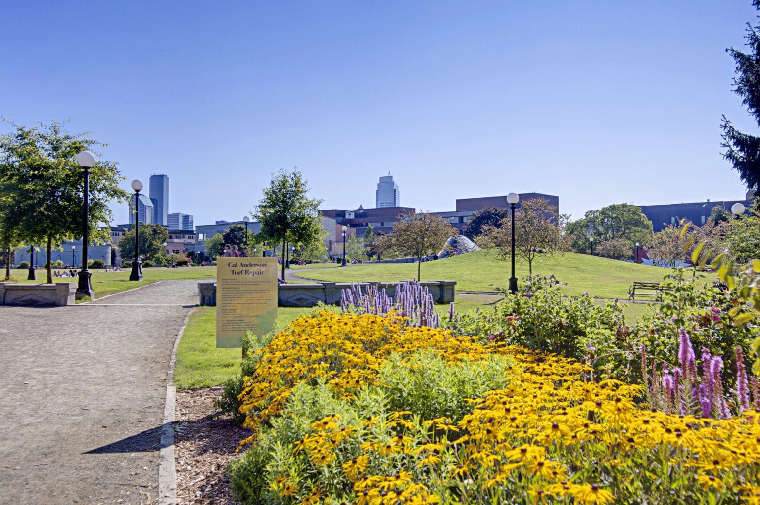 Explore the Bustling Capitol Hill Neighborhood of Central Seattle