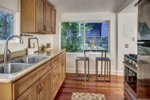 Kitchen overlooks an adorable side yard and neighbors HUGE vegetable garden.