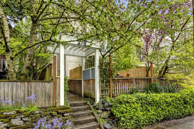 Capitol Hill Townhouse Exterior
