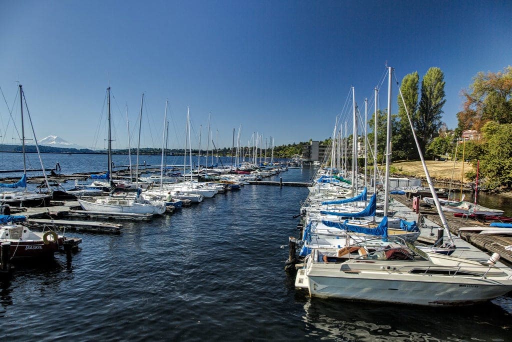 Views of Lake Washington fro the Leschi Marina