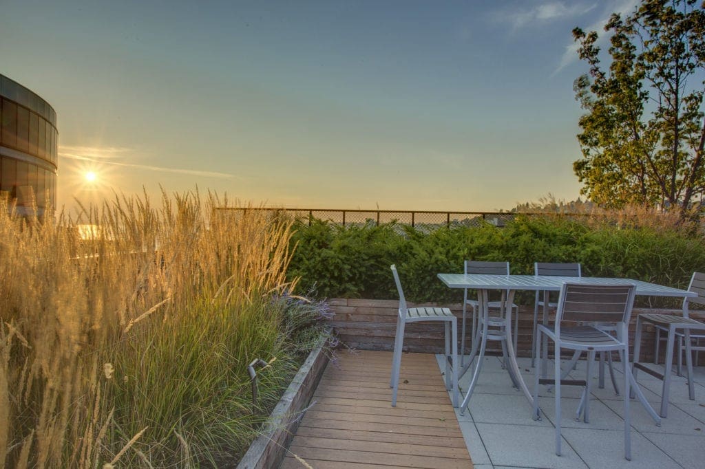 Summer Sunset From the Rooftop Deck of the Trio