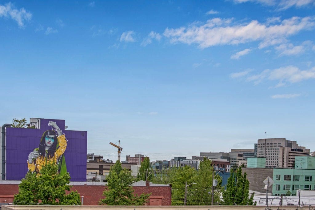 Capitol Hill Townhome View