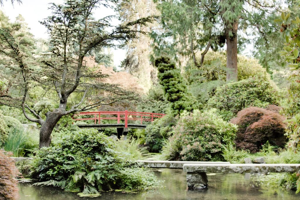 The Beauty and Serenity of Kubota Gardens