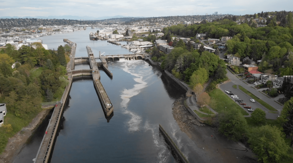 Hiram M. Chittenden Ballard Locks