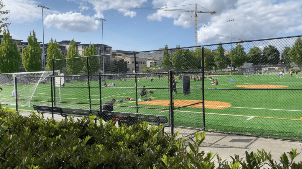 Bobby Morris Playfield at Cal Anderson Park