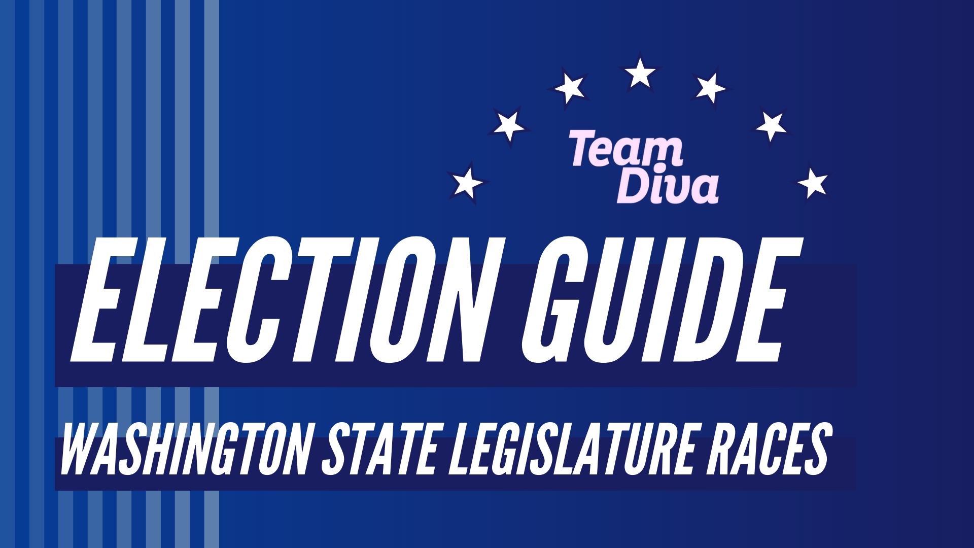 Election Guide 2020: WA State Legislature Races