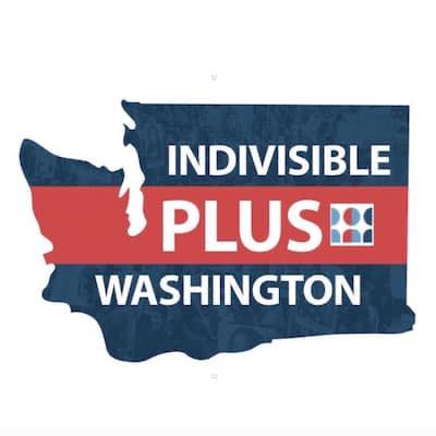 Indivisible Plus Washington on Team Diva Real Estate Podcast