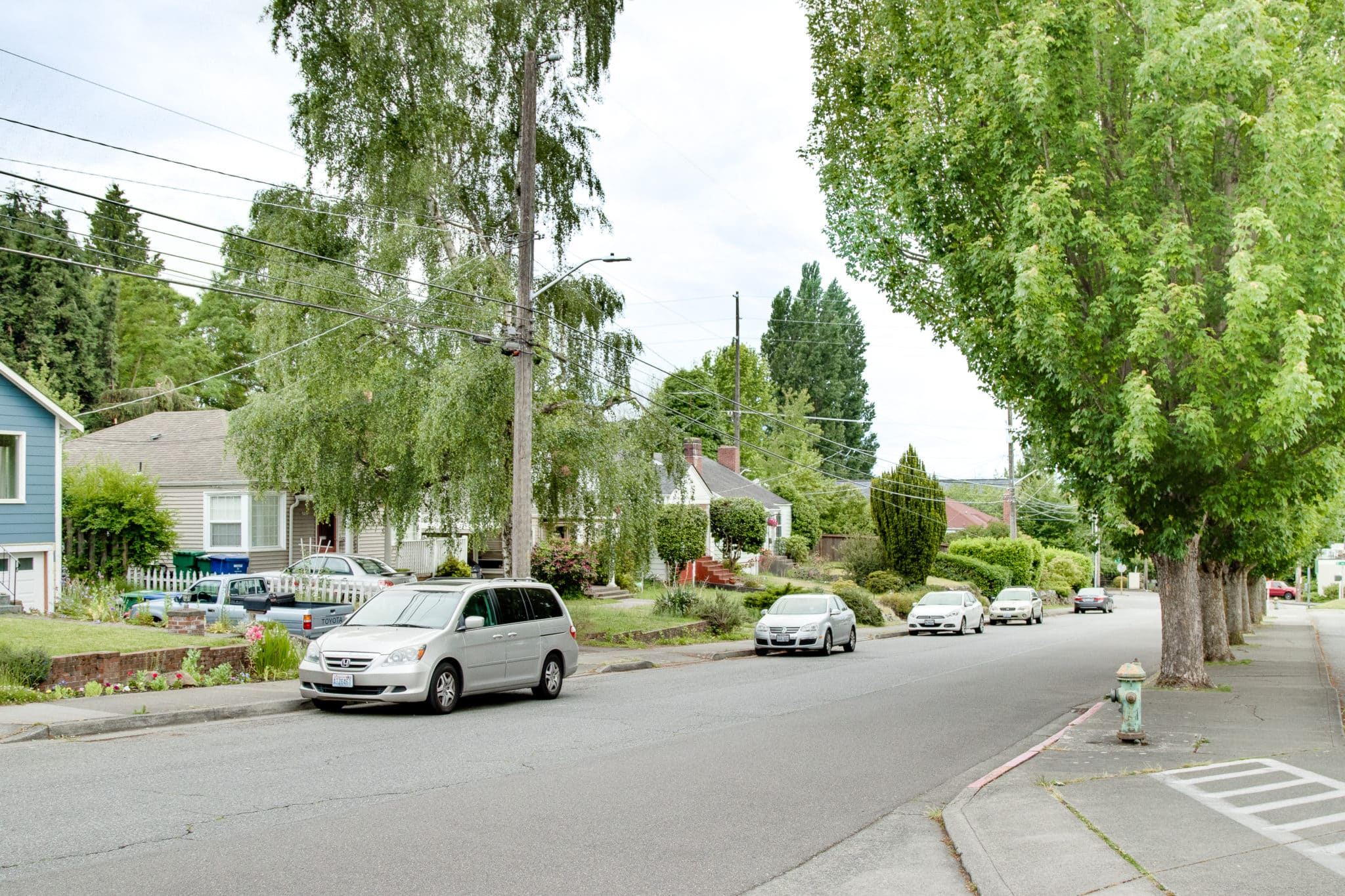 Maple Leaf Residential Neighborhood in North Seattle