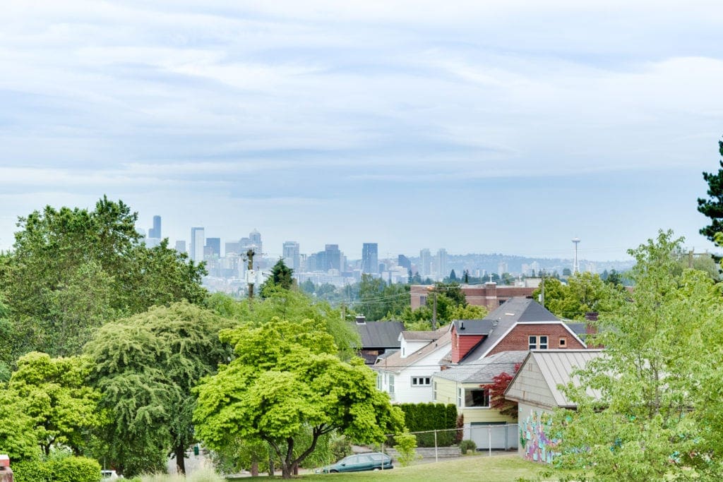 Maple Leaf Overlooking the City