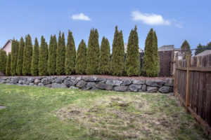 Spacious East Hill Kent Home Exterior, Back Yard, Privacy Hedge, Back Yard Retaining Wall