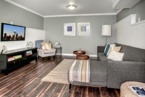 Contemporary Rainier Beach Home, Basement Suite, Living Area