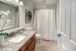 Contemporary Rainier Beach Home, Basement Suite, Full Bathroom