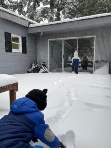 Diva Dwellers - backyard snow