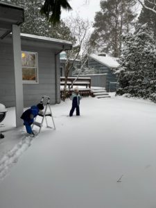 Diva Dwellers - backyard snow