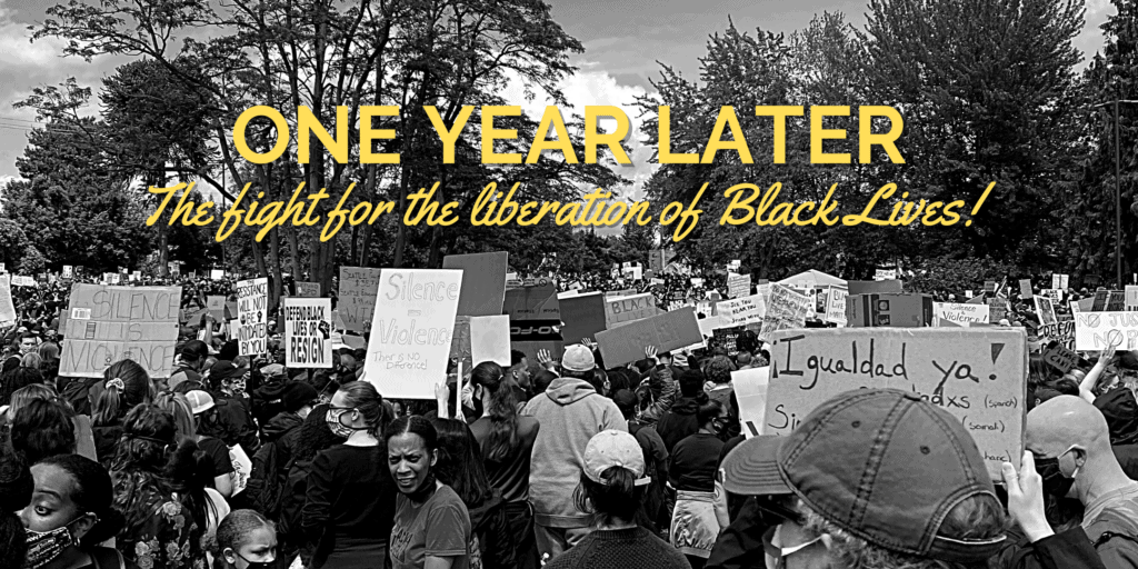 Black Lives Matter A Year of Activism