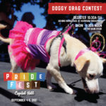 Seattle Pride Fest 2021 Doggy Drag Contest