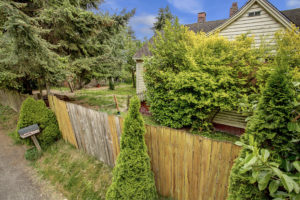 Photo of side yard with overgrown bushes