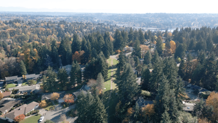 Lake Forest Park Drone View
