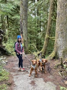 Team Diva Real Estate - Seattle - National Hiking Day - photo of woman hiking along trail with 2 dogs