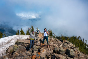 Team Diva Real Estate - Seattle - National Hiking Day photo of 2 people submitting a mountain with dogs