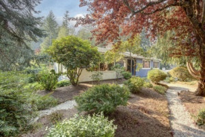 Kenmore Mid Century Home Side Garden