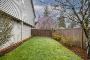 A photo of the backyard lawn infants of a home in Lynnwood, Washington.