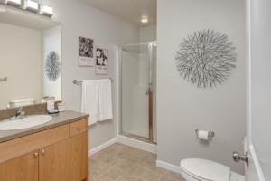 Columbia City Townhome - view of main bathroom