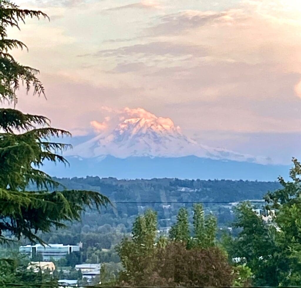 View of Mount Rainier from the deck of this south seattle mid-century modern home